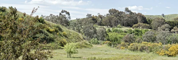 Esta Uma Cena Cudlee Creek South Australia — Fotografia de Stock