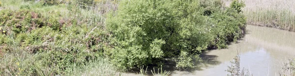 Esta Uma Cena Cudlee Creek South Australia — Fotografia de Stock