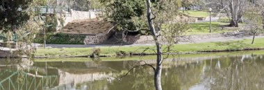 Adelaide Torrens rver mahallim