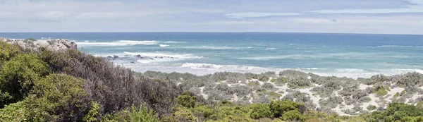 Landscape Dunes Seal Bay Kangaroo Island Cold Windy Day Rough — Stock Photo, Image