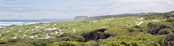 Пейзаж Бухты Тюленей Острове Кенгуру Холодный Ветреный День Бурными Морями — стоковое фото