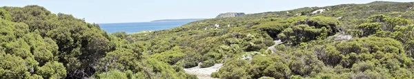 这是澳大利亚袋鼠岛海豹湾的风景 — 图库照片