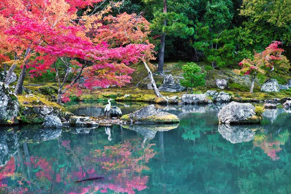 Japonya, Kyoto 'daki Zen Garten.