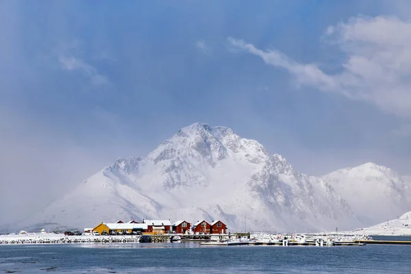 Friss Reggel Lofoten — Stock Fotó