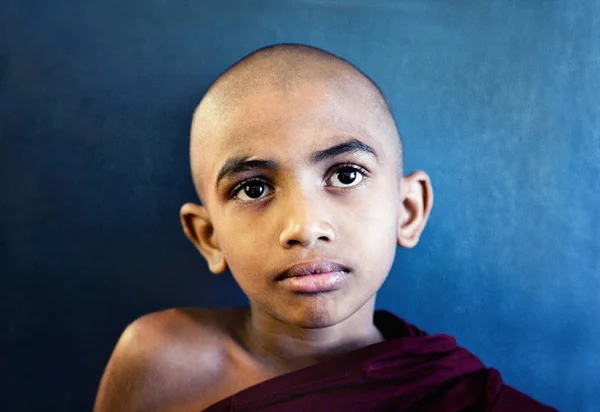 Sri Lanka'da Kleiner Moench