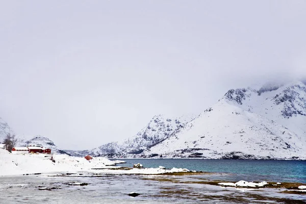 Winter Auf Den Lofoten Norueguês — Fotografia de Stock