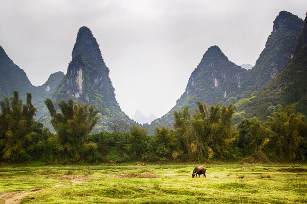 Çin Sdwesten Içinde Karstlandschaft 
