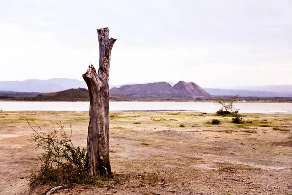 Lago Elementaita Kenia — Foto de Stock