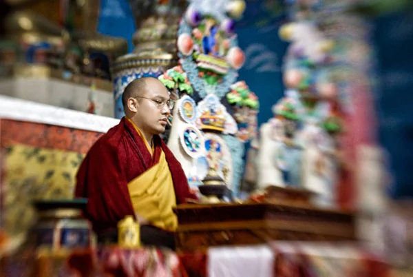 Der Gyalwa Karmapa Bodhgaya Stockbild