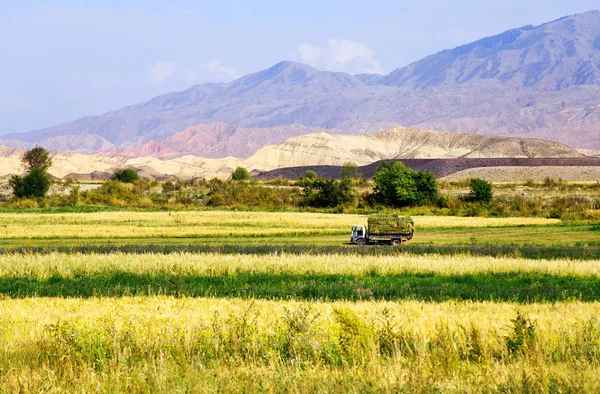 Landschaft Bokonbayevo Kyrgyzstan Stockfoto