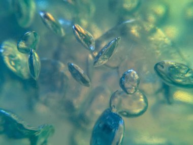 sıvı hava kabarcıkları arka plan