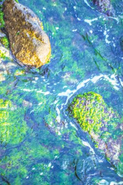 doğa deniz kıyısı ve kayalar