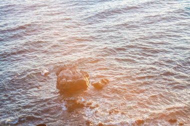 doğa deniz kıyısı ve kayalar
