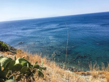 doğa deniz kıyısı ve kayalar