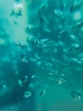 sıvı hava kabarcıkları arka plan