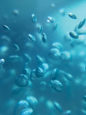 sıvı hava kabarcıkları arka plan