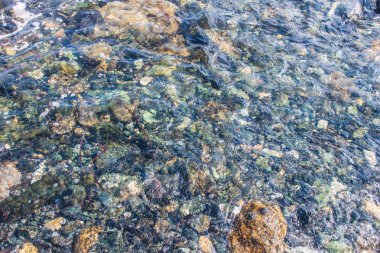 doğa deniz kıyısı ve kayalar