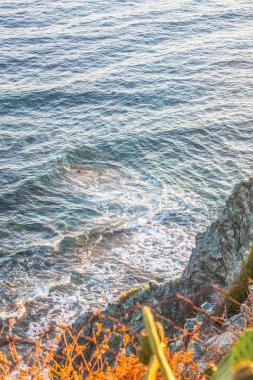 doğa deniz kıyısı ve kayalar