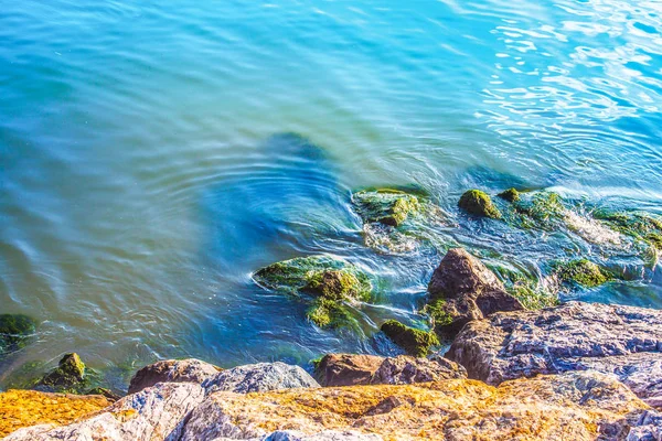 Natur Küste Und Felsen — Stockfoto