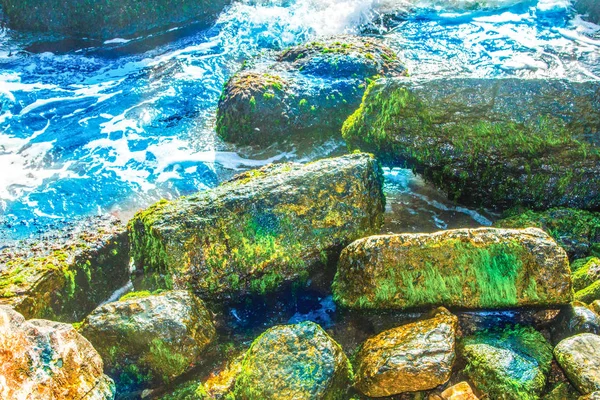 Doğa Deniz Kıyısı Kayalar — Stok fotoğraf