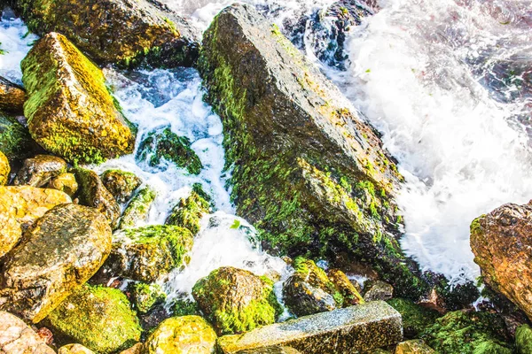 Naturaleza Orilla Del Mar Rocas — Foto de Stock