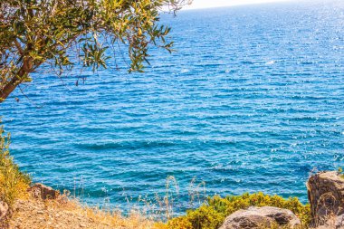 doğa deniz kıyısı ve kayalar