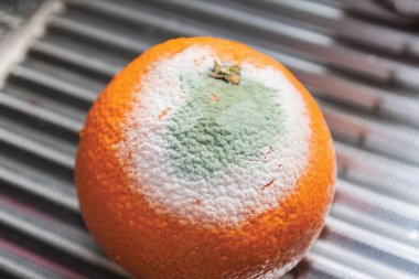 küflü turuncu desen arka plan olarak 