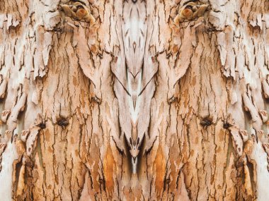 arka plan olarak doğal ahşap dokulu yüzey