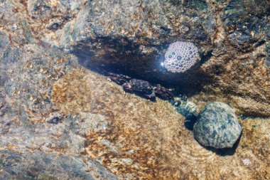 doğa deniz kıyısı ve kayalar su altında