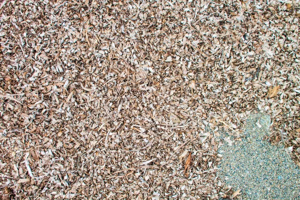Texture Alghe Marroni Come Sfondo — Foto Stock