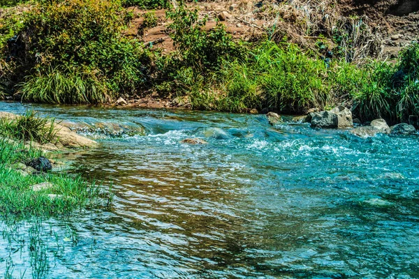 Arroyo Del Río Árboles Verdes —  Fotos de Stock