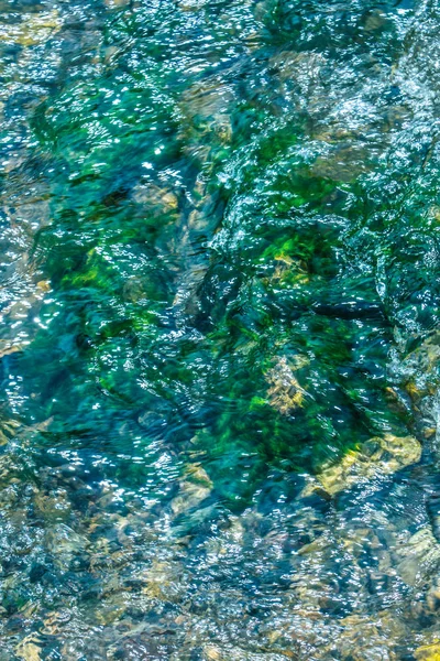 川のストリームと緑の木 — ストック写真