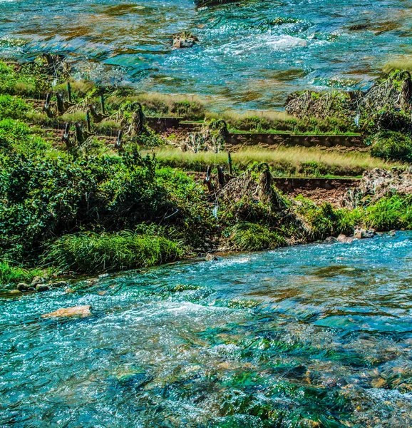 Arroyo Del Río Árboles Verdes — Foto de Stock