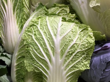 arka plan olarak lahana yüzeyine yakın çekim