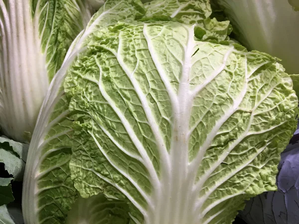 Close Cabbages Surface Background — Stock Photo, Image