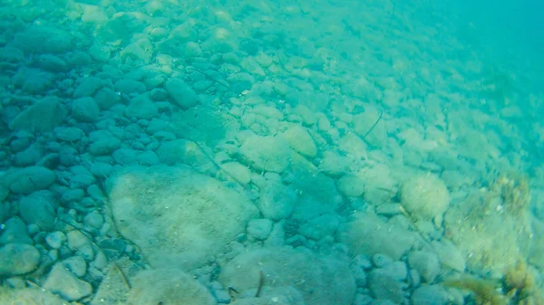 Underwater Sea View Background — Stock Photo, Image