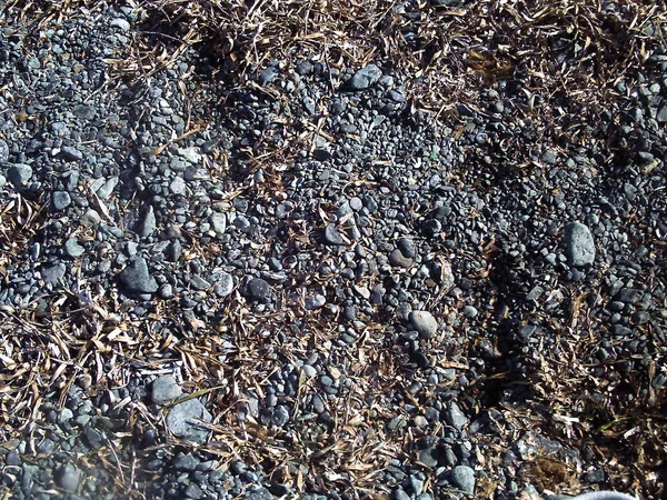 Plaża Kamienie Grey Jako Tło — Zdjęcie stockowe