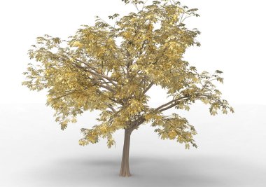 Beyaz arkaplanda izole edilmiş ağaç