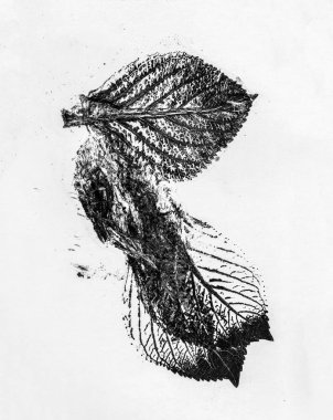 siyah ve beyaz yaprak desenleri birim izole arka plan