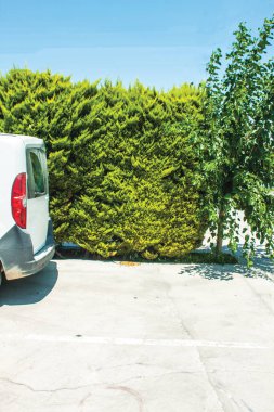 yeşil duvar, santrali arka plan ünitesi izole