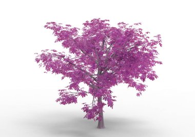 Beyaz arkaplanda izole edilmiş ağaç