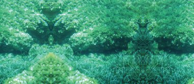 deniz resifleri sualtı arka plan ünitesi izole