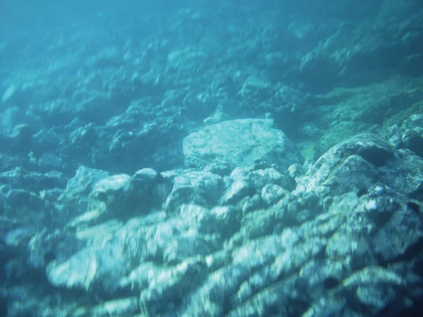 Sea Reefs Underwater Background Unit Isolate — Stock Photo, Image