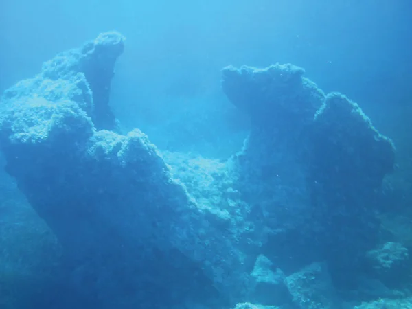 Meeresriffe Unter Wasser Hintergrundeinheit Isolieren — Stockfoto