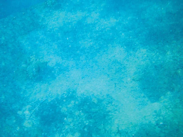 海のサンゴ礁の水中背景単体を分離します — ストック写真