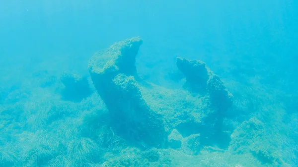 Moře Útesy Pod Vodou Pozadí Jednotka Izolovat — Stock fotografie