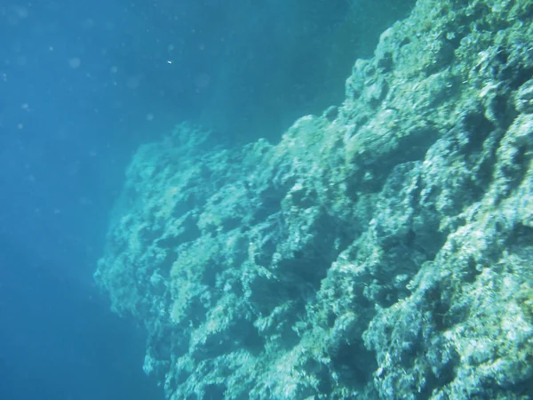 海礁水下背景单位隔离 — 图库照片