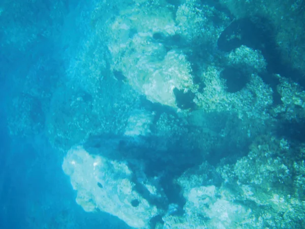 Θάλασσα Υφάλους Υποθαλάσσιο Φόντο Μονάδα Απομόνωσης — Φωτογραφία Αρχείου