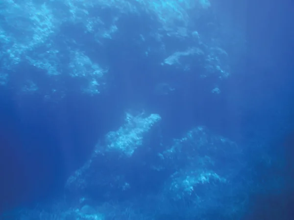 Zee Koraalriffen Onderwater Achtergrond Eenheid Isoleren — Stockfoto
