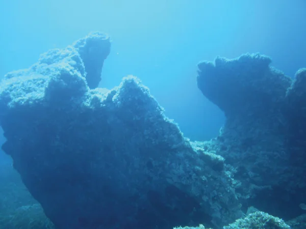 Морські Рифи Підводний Фон Одиниці Ізольовані — стокове фото